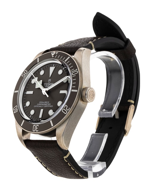 Tudor Black Bay 58 M79010SG-0001 Image 2